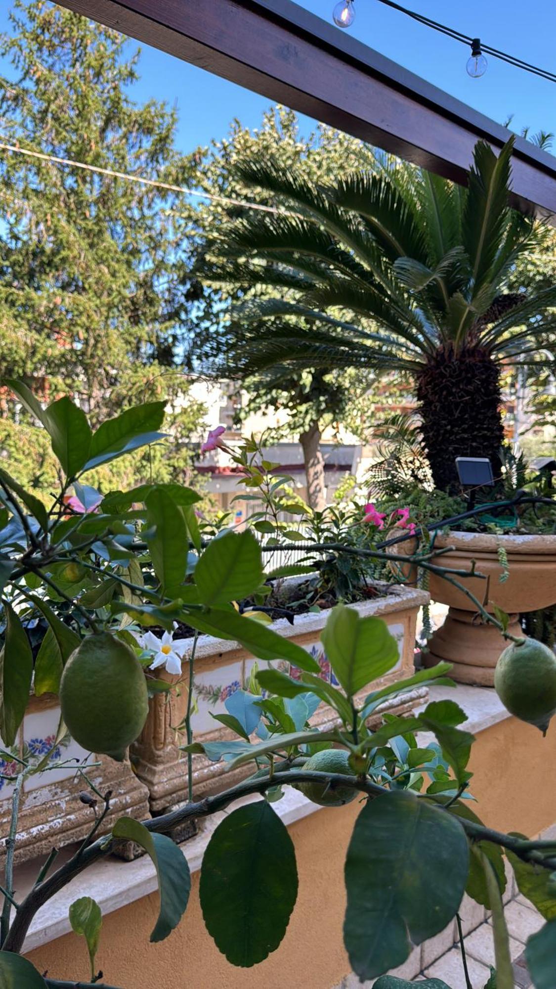 Relais Sorrento Terrace And Relax Bed and Breakfast Buitenkant foto